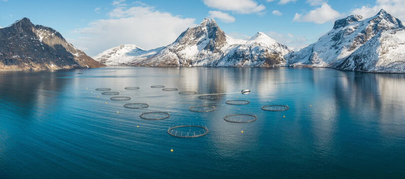 Image of a Norwegian fjord landscape with an aquaculture facility.